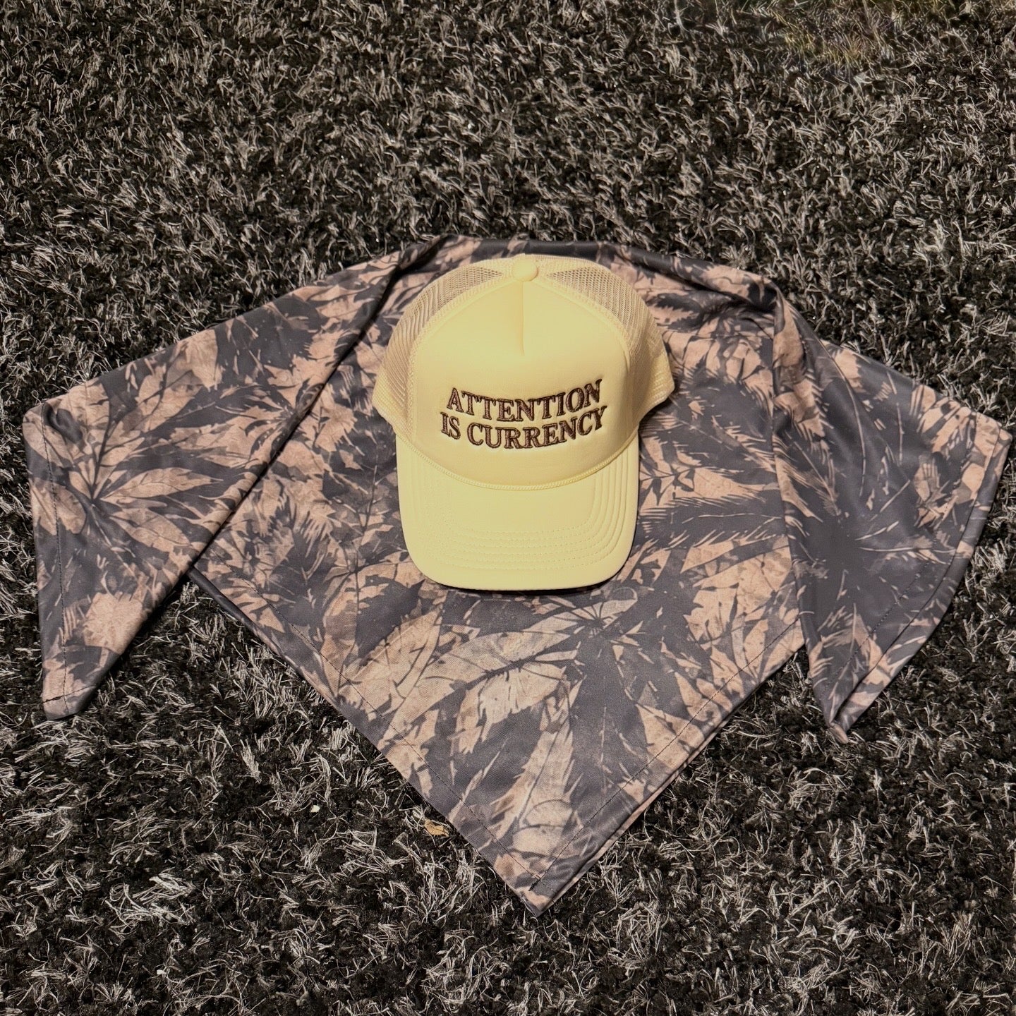 Currency Hat w/ Palm tree scarf